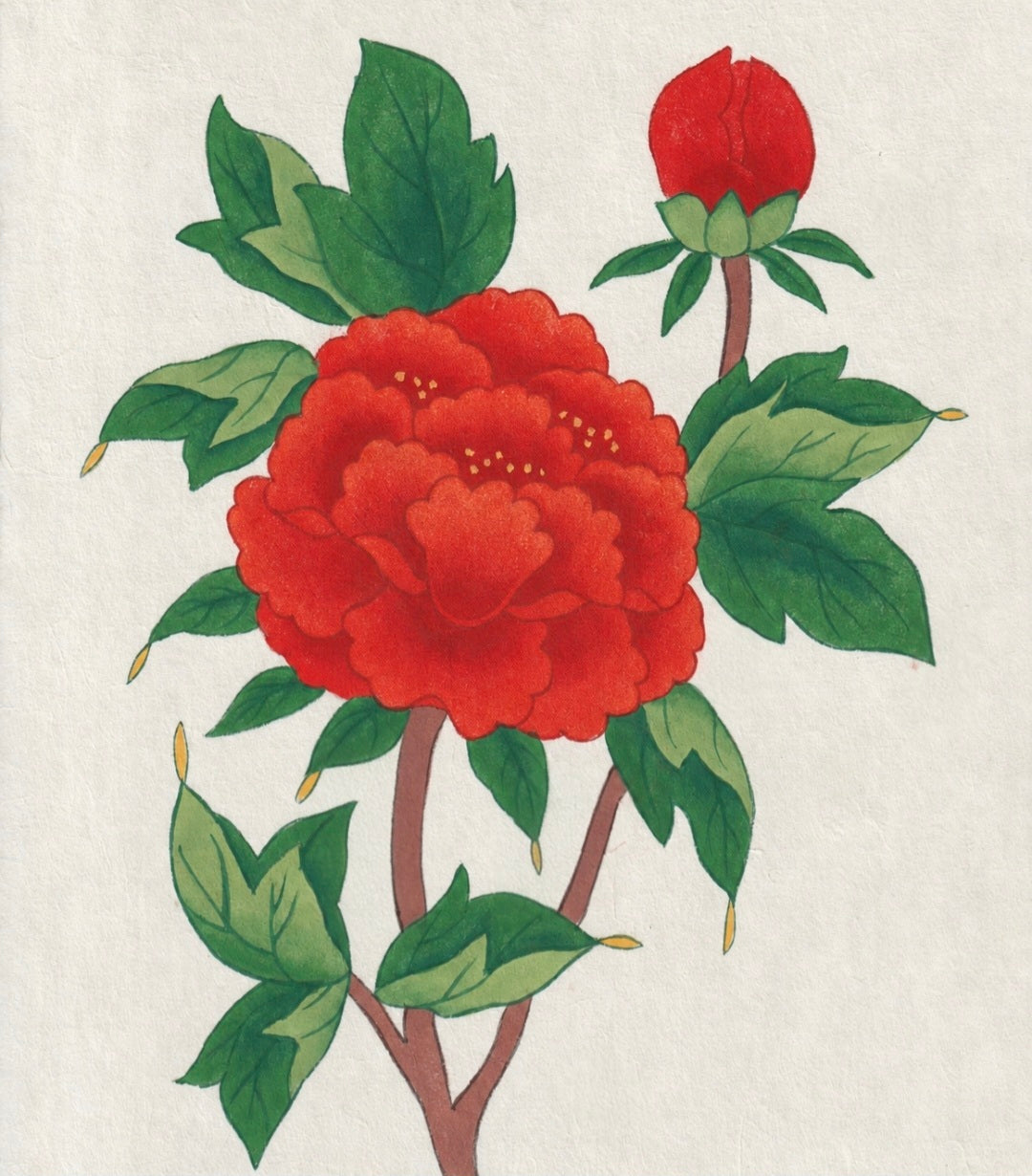 Peony Colouring Kit