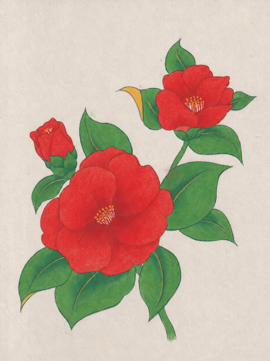 Camellia Colouring Kit
